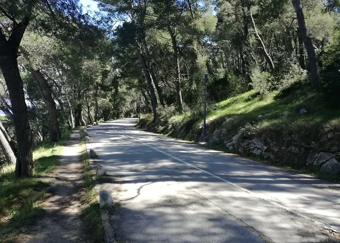 Διαμέρισμα Bellina